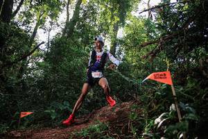 BIB: 5182
                            <button type="button" onclick="openModal(22631031)" class="btn btn-primary btn-sm float-right btn-popup" data-toggle="modal" data-target=".modal-high-quality">
                        <i class="fas fa-shopping-cart"></i> Add to Cart
                    </button>
                                            <button type="button" onclick="isThisMe(22631031, true)" class="btn btn-success btn-sm float-right btn-popup btn-isme hidden" data-toggle="tooltip" data-placement="bottom" title="นี่คือรูปของคุณใช่ไหม คลิกที่นี่เพื่อเอาเข้าอัลบั้ม">
                        <i class="fas fa-plus"></i> Add to album
                    </button>
                    <button type="button" onclick="isThisMe(22631031, false)" class="btn btn-warning btn-sm float-right btn-popup btn-isnotme hidden">
                        <i class="fas fa-ban"></i> Remove from album
                    </button>